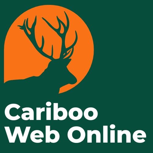 Williams Lake Web Design